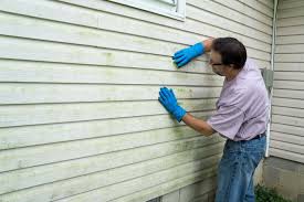 Best Custom Trim and Detailing for Siding  in East Washington, PA